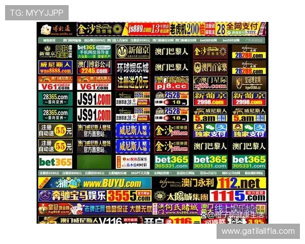 菲律宾申博娱乐网最新平台全面解析，带你了解最安全可靠的博彩体验